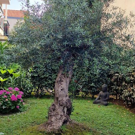 Superbe Appartement Avec Jardin Saint Charles بياريتز المظهر الخارجي الصورة