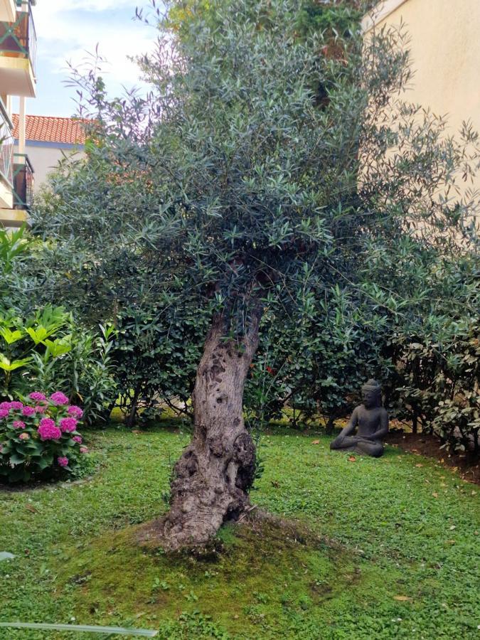 Superbe Appartement Avec Jardin Saint Charles بياريتز المظهر الخارجي الصورة